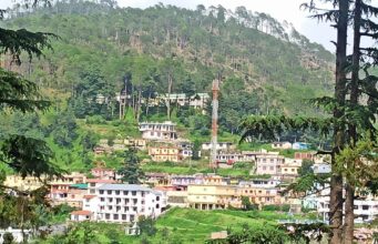 ग्वालदम में जंगली जानवर का मांस बताकर कुत्ते का मांस बेचने की अफवाह से चर्चाओं का बाजार गर्म
