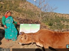 दूध बेचकर हर माह ₹12 हजार तक कमा रहीं लक्ष्मी देवी