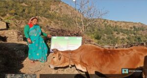 दूध बेचकर हर माह ₹12 हजार तक कमा रहीं लक्ष्मी देवी