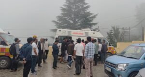 भालू के हमले में महिला की मौत एक गंभीर घायल