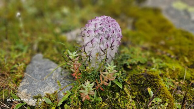IMG-20260906-WA0071