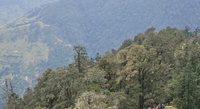 12 बरस में फेर होली भेंट, नंदा जाण ट्वेन ते ऊंचा कैलाश
