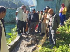 छिनका गांव में मिला गुलदार का शव, आपसी संघर्ष में मौत की आशंका