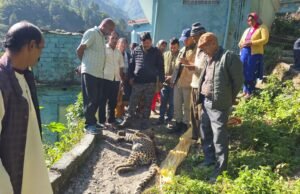 छिनका गांव में मिला गुलदार का शव, आपसी संघर्ष में मौत की आशंका