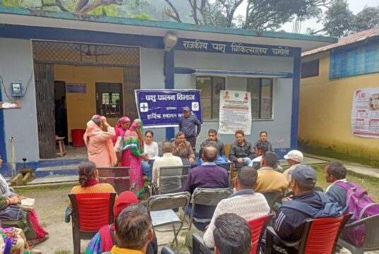 चारा उत्पादन से पशुपालन को मिलेगा बढ़ावा, 60 पशुपालक हुए लाभान्वित