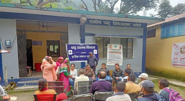 चारा उत्पादन से पशुपालन को मिलेगा बढ़ावा, 60 पशुपालक हुए लाभान्वित