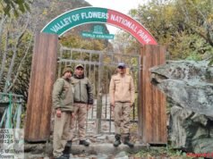 फूलों की घाटी पर देशी-विदेशी पर्यटक हुए फिदा, रिकॉर्ड 35,261 सैलानियों ने किया दीदार